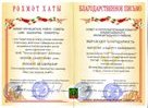 Благодарственное письмо Альметьевского муниципального района